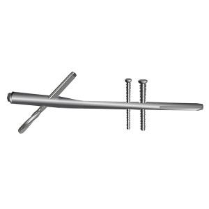 Clavo tipo Gamma (Standard)